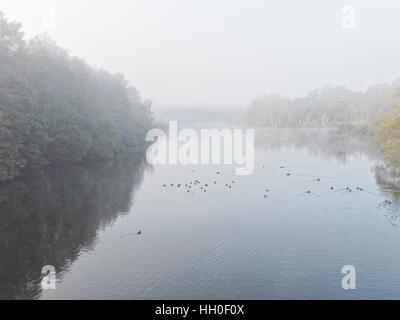 Frühen herbstlichen Morgennebel auf dem ruhigen Wasser eines Flusses beginnt zu löschen. Stockfoto