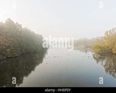 Frühen herbstlichen Morgennebel auf dem ruhigen Wasser eines Flusses beginnt zu löschen. Stockfoto