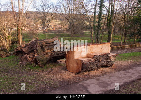 Bänken rund geschnitten Weith eine Kettensäge von einem gefallenen Föhre Baum am Byes, Sidmouth, Devon. Stockfoto