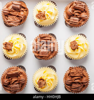 Hausgemachte Vanille und Schokolade Cupcakes auf weißem Hintergrund Stockfoto