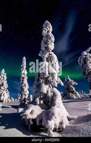 Nordlichter im Nationalpark Riisitunturi, Finnland Stockfoto
