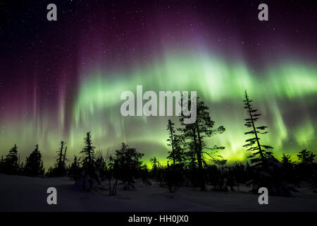 Nordlichter im Nationalpark Riisitunturi, Finnland Stockfoto