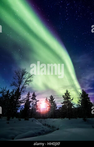 Nordlichter im Nationalpark Urho Kekkonen, Finnland Stockfoto