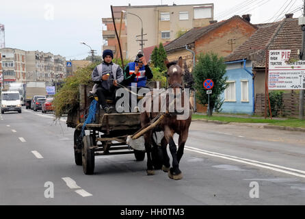 Sathmar/Satu Mare, Rumänien. Zwei junge Männer auf einem Pferdewagen mit einer Belastung von Heu. Stockfoto