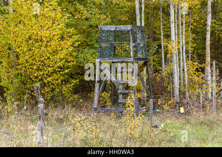 Jagd Kanzel, Turm, versteckt im Wald. Ackerland fallen diesseits, Herbst. Einige Espe Bäume im Hintergrund. Stockfoto