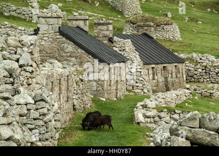 Restaurierte Häuser auf Hirta, Moscow, äußeren Hebriden, Schottland, Vereinigtes Königreich Stockfoto