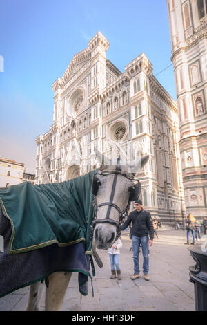 Eine Kutsche Pferd Fütterung aus einem Nasentasche auf der Piazza del Duomo Stockfoto