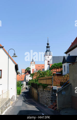 Colditz: Burg, Sachsen, Sachsen, Deutschland Stockfoto