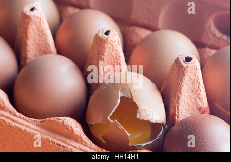 Closeup, Ablage von Eiern, einer gebrochen Stockfoto