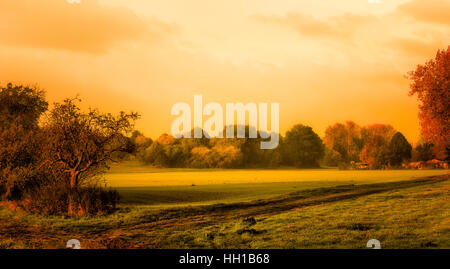 Vintage Style warmen Wasser - farbige idyllische Herbst Sonnenaufgang über einem ländlichen friedliche Landschaft Feld mit Bäumen, Wolken, Eindruck, Malerei Stil Stockfoto