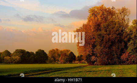 Vintage Style warmen Wasser - farbige idyllische Herbst Sonnenaufgang über einem ländlichen friedliche Landschaft Feld mit Bäumen, Wolken, den Eindruck, die Malweise, grün Stockfoto