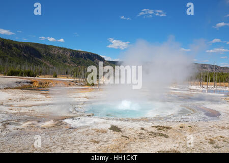 Geysir-Ausbruch in den Yellowstone National Park, USA Stockfoto