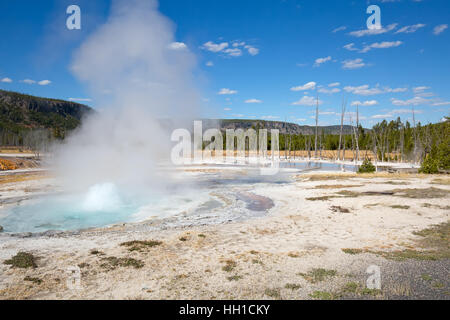 Geysir-Ausbruch in den Yellowstone National Park, USA Stockfoto