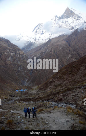 Drei Wanderer verlassen Machhapuchhre Base Camp (MBC) für Annapurna Base Camp im Annapurna Sanctuary, Himalaya, Nepal, Asien. Stockfoto