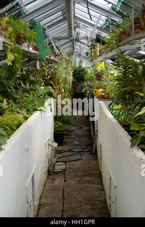 Ein Stillleben eines botanischen Gartens in Arbeitsfortschritt. Stockfoto