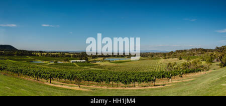 Weinberge und die Landschaft in der Nähe von Cessnock, Hunter Valley Stockfoto