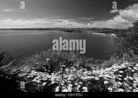 Die geschwungenen Goodrington Sands Beach, Torbay, englische Riviera, Grafschaft Devon, England, UK Stockfoto