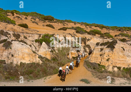 Reittourismus in den Asperillo Dünen, Naturpark Donana, Matalascañas, Huelva Provinz, Region von Andalusien, Spanien, Europa Stockfoto