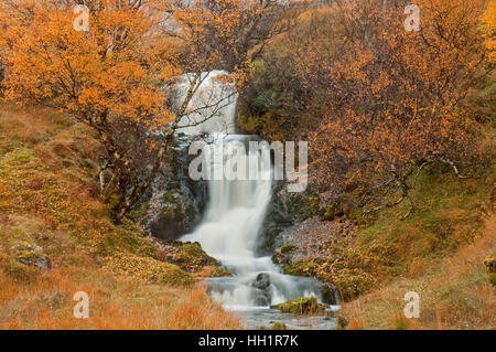 Allt ein "Chalda Beag auf Loch Assynt Stockfoto