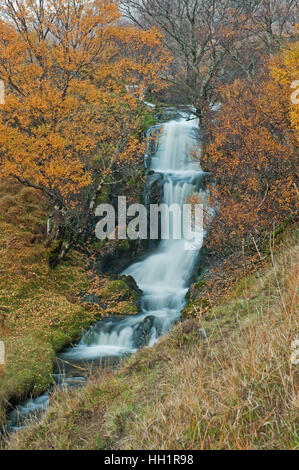 Allt ein "Chalda Beag auf Loch Assynt Stockfoto