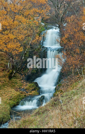 Allt ein "Chalda Beag auf Loch Assynt Stockfoto