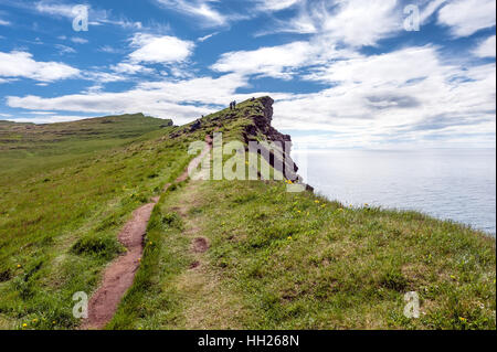 Látrabjarg, ist ein Vorgebirge und dem westlichsten Punkt in Island. Die Klippen sind Heimat von Millionen von Vögel, darunter Papageientaucher. Stockfoto