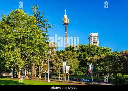 Hyde Park mit modernen Gebäude im Hintergrund in Sydney, Australien Stockfoto