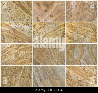 Zwölf natürlichen Kalkstein Hintergrund oder Texturen. Die echte Farbe. Ohne Sättigung der Farben. Stockfoto