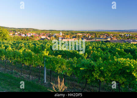 Straß Im Straßertale: Ansicht von Straß im Straßertale - Wein-Region Kamptal, Waldviertel, Niederösterreich, Niederösterreich, Österreich Stockfoto