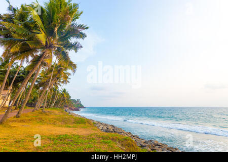 Palmen säumen einen grasbewachsenen Küste Bereich entlang des Ozeans bei einem angenehmen Spätnachmittag in Varkala, Kerala, Indien. Horizontale Stockfoto
