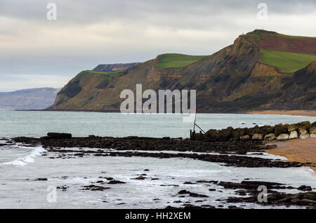 West Bay, Dorset, UK. 15. Januar 2017. Großbritannien Wetter. Niedrigen Springflut zeigt Felsen Regale in West Bay in Dorset an einem bewölkten Nachmittag, Blick nach Westen auf den Klippen von Thorncombe Beacon auf Eype. Bildnachweis: Graham Hunt/Alamy Live-Nachrichten Stockfoto