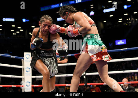 Brooklyn, USA. 14. Januar 2017. Amanda Serrano (schwarz und Silber Stämme) und Yazmin Rivas Schlacht in einem weiblichen junior Federgewicht Titelkampf bei Barclays Center in Brooklyn, New York. Bildnachweis: Joel Plummer/ZUMA Draht/Alamy Live-Nachrichten Stockfoto