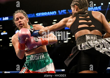 Brooklyn, USA. 14. Januar 2017. Amanda Serrano (schwarz und Silber Stämme) und Yazmin Rivas Schlacht in einem weiblichen junior Federgewicht Titelkampf bei Barclays Center in Brooklyn, New York. Bildnachweis: Joel Plummer/ZUMA Draht/Alamy Live-Nachrichten Stockfoto