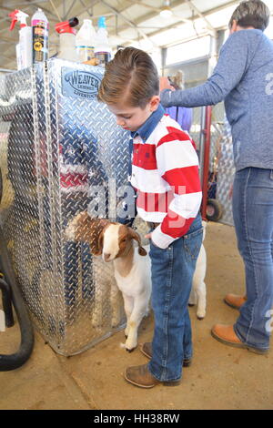 Ft. Worth, Texas, USA. 16. Januar 2017. Eli grün und seine Ziege Gidget bei seinem ersten ft. Wert Stock Show auftritt. Bildnachweis: Hum Bilder/Alamy Live-Nachrichten Stockfoto