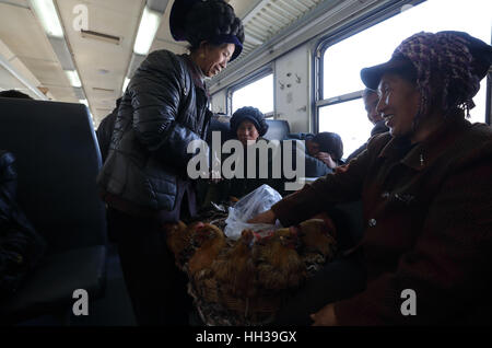 (170117) - CHENGDU, 17. Januar 2017 (Xinhua)--Passagiere tragen Hühner die 5633 grüne Zug auf dem Sichuan-Teil des südwestlichen China Chengdu-Kunming Railway, des Sitzes der Wiederverwertung County für einen lokalen Bauernmarkt, 16. Januar 2017 nehmen. Da moderne Hochgeschwindigkeitszüge vorbei neue Stationen in ganz China gedreht, durchläuft ein langsamen grüner Zug noch Teilbereichen Armut Daljan Berge, wo die Menschen von Yi ethnische Gruppe hauptsächlich Leben. Altmodische Zug begann 1970 mit keine Klimaanlage und Speisewagen. Jetzt ist es noch eine billige und günstige Möglichkeit für die lokale Bevölkerung, t Stockfoto