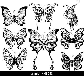 kunstvoll bemalte Silhouetten von exotischen Schmetterlingen auf einem weißen Hintergrund. Stock Vektor