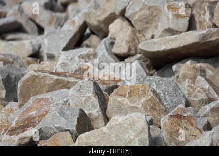 Steine Muschelkalk Muschelkalksteine Stockfoto