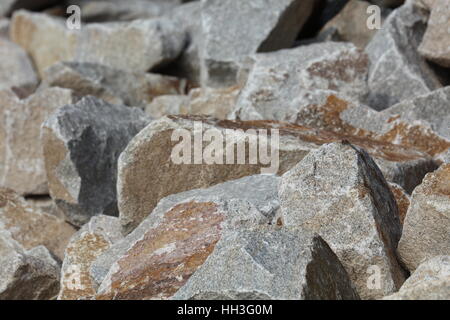 Steine Muschelkalk Muschelkalksteine Stockfoto