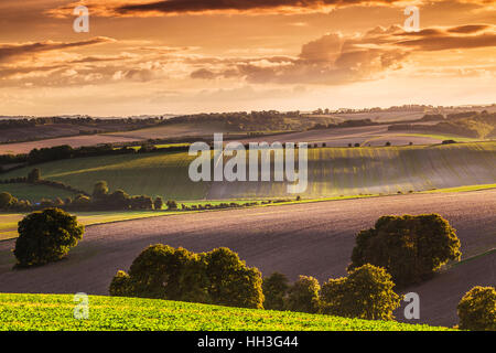 Sonnenuntergang über der Nord Wessex Downs in Wiltshire. Stockfoto