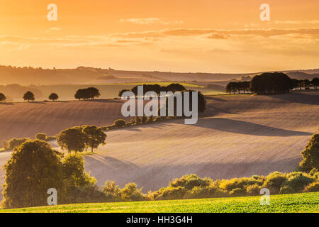 Sonnenuntergang über der Nord Wessex Downs in Wiltshire. Stockfoto