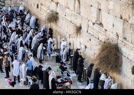 Chassidischen Juden beten an der Klagemauer, Jerusalem, Israel, Nahost, Asien Stockfoto