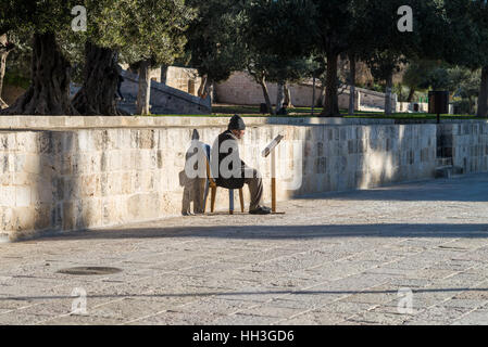 Ein muslimischer Mann betet in der Nähe der Felsendom auf dem Haram al-Sharif, auch bekannt als der Tempelberg Jerusalems Altstadt, Israel Stockfoto