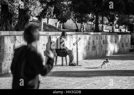 Ein muslimischer Mann betet in der Nähe der Felsendom auf dem Haram al-Sharif, auch bekannt als der Tempelberg Jerusalems Altstadt, Israel Stockfoto