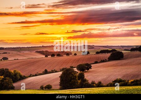 Sonnenuntergang über der Nord Wessex Downs in Wiltshire. Stockfoto