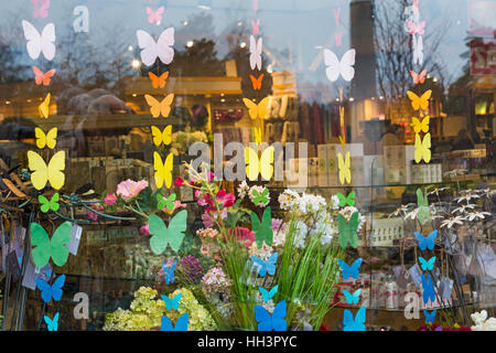 Schmetterlinge am Schaufenster des Geschenkelgeschäft im RHS Garden Wisley, Woking, Surrey, England im Januar Stockfoto