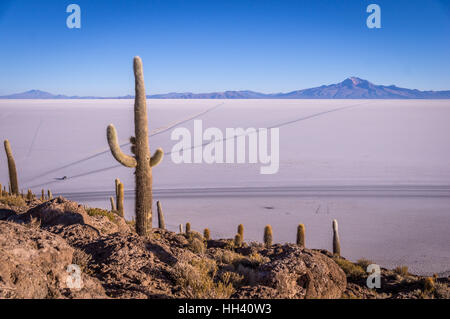 Blick vom Isla Incahuasi, Uyuni, Bolivien Stockfoto
