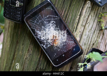 Alten Handys an Baum genagelt gebrochen Stockfoto