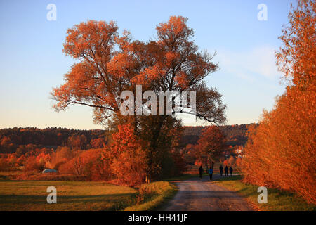 die Oberauhof im Herbst in der Abendsonne Menschen wandern, Kulmbach, Upper Franconia, Bayern, Deutschland Stockfoto