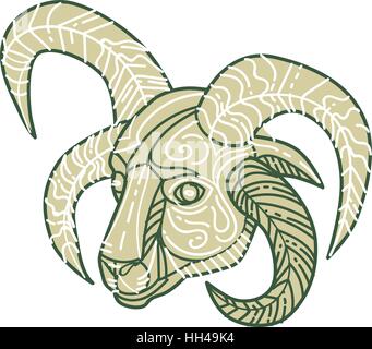 Mono-Linie Stil Illustration des Manx Loaghtan, eine Rasse von Schafen (Ovis Aries) native auf der Isle Of Man Kopf mit vier Hörnern auf isolierte weiß zurückgesetzt Stock Vektor