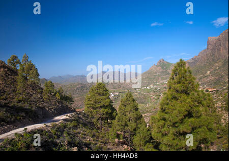 Zentralen Gran Canaria, Gegend um Cruz Grande Stockfoto